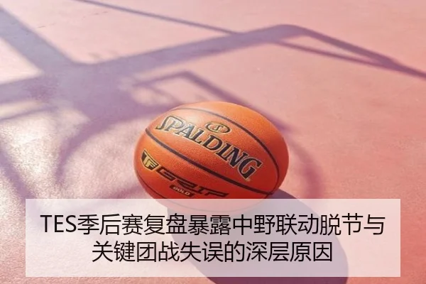 TES季后赛复盘暴露中野联动脱节与关键团战失误的深层原因
